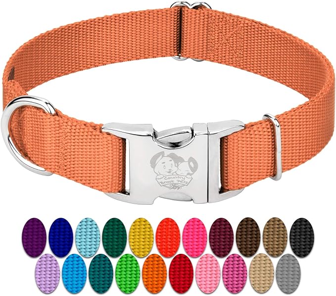 Country Brook Petz - Premium Nylon Dog Collar with Metal Buckle for Small Medium Large Breeds - 10+ Warm Colors (Medium, 3/4 Inch, Coral)
