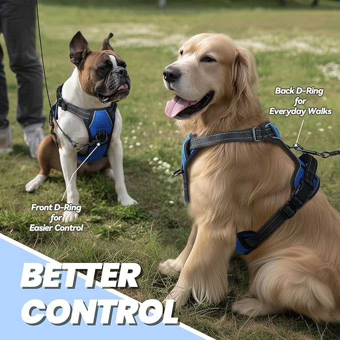 VIVAGLORY Dog Harness Easewalk No Pull Dog Harness with Handle Front Clip & Back Clip for Training Walking Lifting, No Pull Adjustable Easy On Padded Comfortable for Pet, XS, Royal Blue - Plain