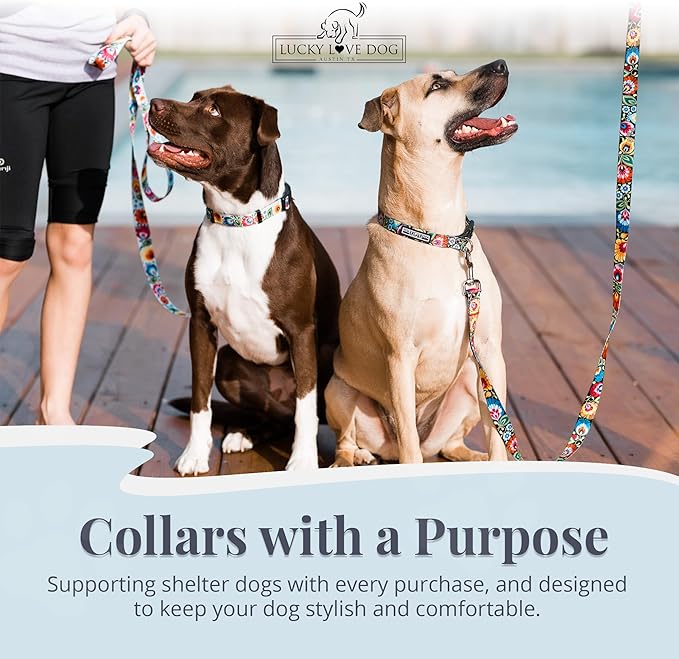 Lucky Love Dog - Easy Click Buckle Dog Collar with Leash Set Combo, Durable & Comfortable for Male & Female Dogs, Pet Collar for Small Dogs, Secure Fit - Blackbird Combo, X-Small