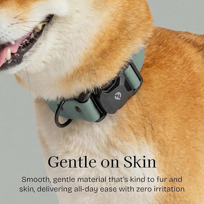 2026 New Edition, Fei & Eve PVC MagEase Dog Collar - Patented Magnetic Buckles | Fur-Safe | 450LB Escape-Proof | Adjustable Fit | Medium (Glacier Green)