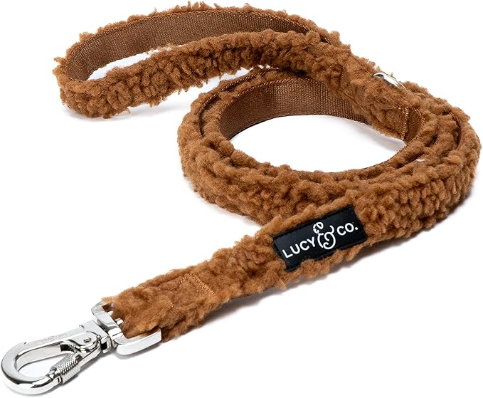 Lucy & Co. 5 Foot Dog Leash - Best Designer Leashes for Dogs, Puppy Accessories Supplies (Large, Teddy Brown), The Cinnamon Teddy Leash