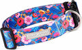 Lucky Love Dog Wide Dog Collar - Adjustable, Durable, Soft Webbing, & Comfortable 1.5 inch Wide Collar for Dogs Male and Female with Strong Buckle - Zuzu, Medium