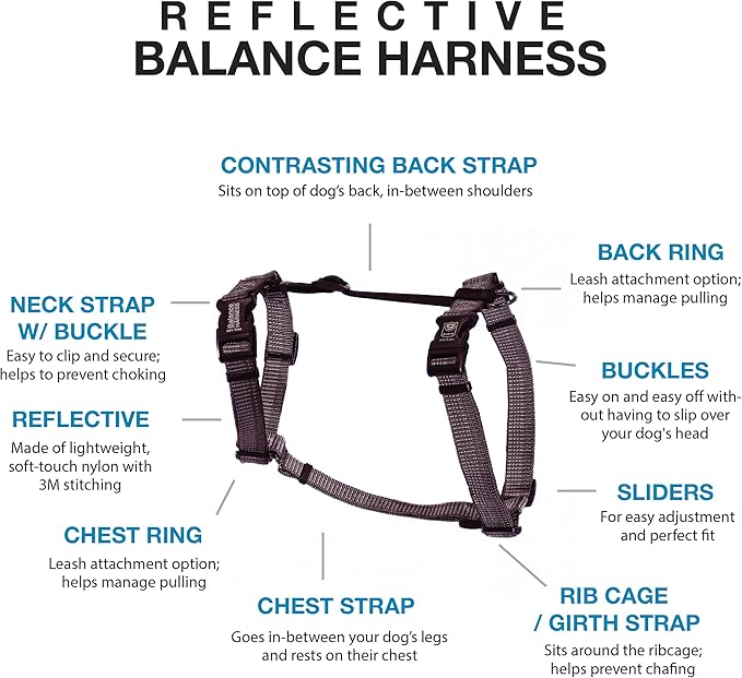 Blue-9 Reflective Buckle-Neck Balance Harness, Fully Customizable Fit No-Pull Harness with 3M Reflective Stitching, Ideal for Dog Training and Obedience, Made in The USA, Grey, Medium