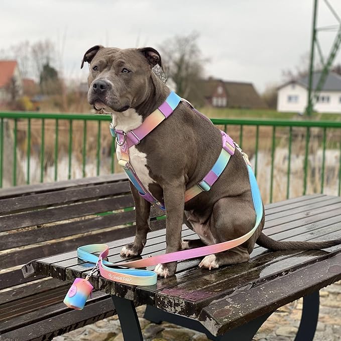 Spark Paws No Pull Dog Harness for Large Dogs, Heavy Duty Dog Harness for Big Strong Breeds, Adjustable, Y Shaped Padded Halter Design with Front Clip - Pastel Icing - S