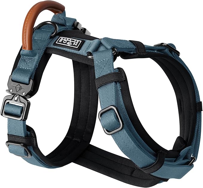 MADE TO ROAM Premium Explorer Harness - Y-Shaped Dog Harness with Adjustable Durable Nylon, Soft Padding, Metal Buckles and Leather Handle for Small, Medium, Large Dogs (California Horizon, Size 5)