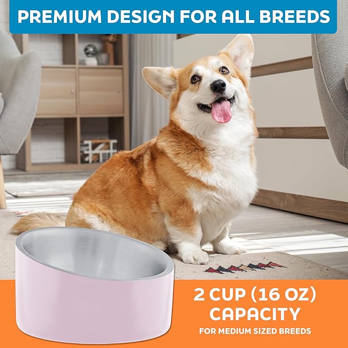 Master Pet Supply Stainless Steel Slanted Dog Cat Food Bowl - 16 oz Heavy Duty - Rose Quartz, Double Wall Insulated, Non-Slip Elevated Bowl for French Bulldogs Pugs Cats, Anti Rust Dishwasher Safe