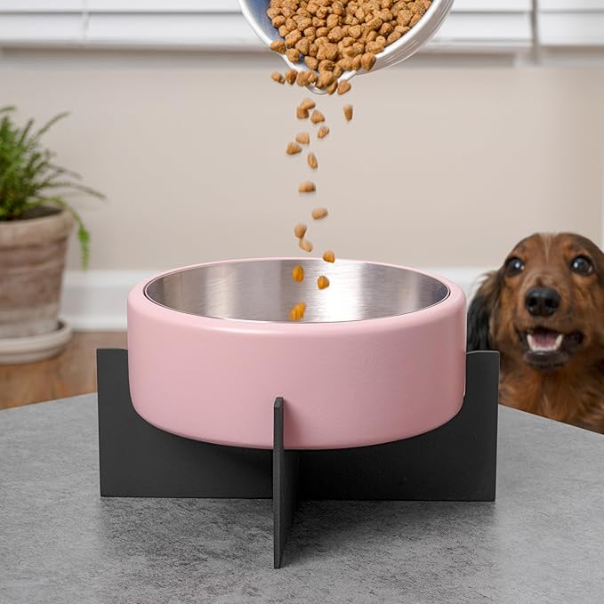DBL3000D Intersecta Small/Medium Concrete and Stainless Steel Bowl 16oz (2 Cups) with Metal Stand Pet Feeder, Pink/Black