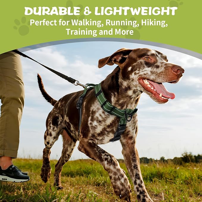 Dog Harness,Adjustable No Pull Dog Harness,Y-Shaped Design,Buckle-Neck Balance Harness with Reflective, Ideal for Dog Training Hiking, Easy Walk Harness,Durable High-Tensile Nylon Green-M