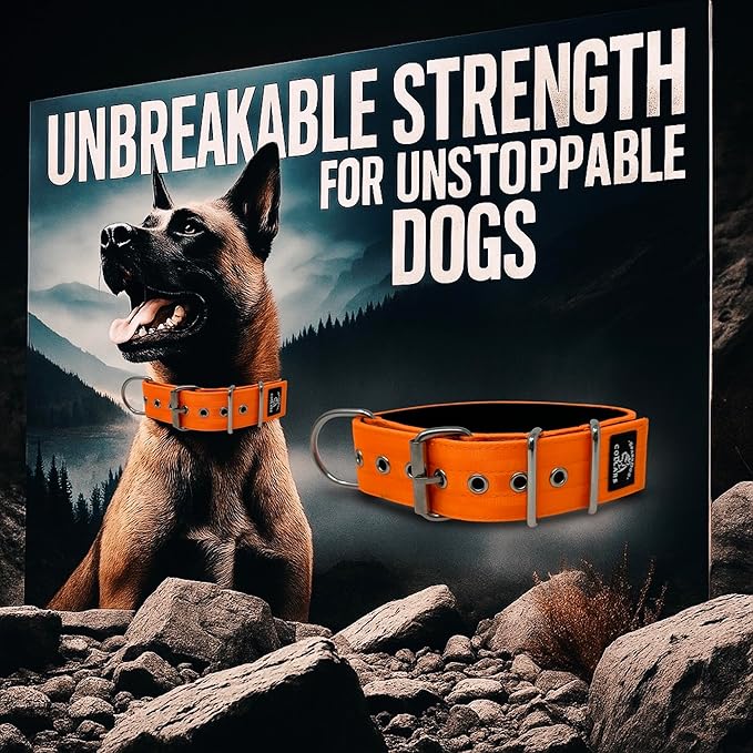 SparkDog Collars Working Dog Collar - 2" 4ply Padded Dog Collar Heavy Duty Stainless Steel Tactical Seatbelt Wide Buckle Collar (Orange 2.0, 16-21" Large)