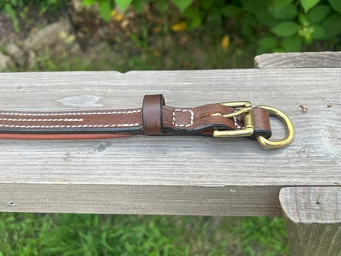Leaders Leather Dog Collar with Customized Name Plate Medium (13" - 16")