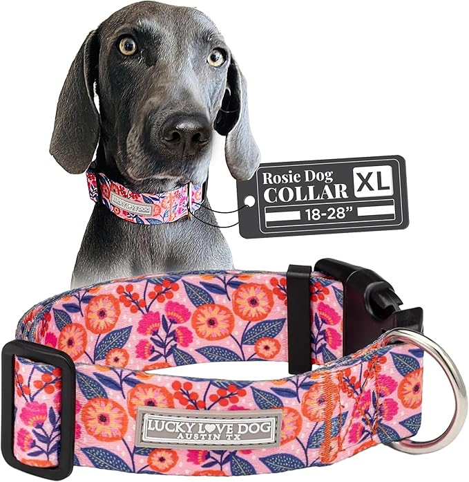 Lucky Love Dog Wide Dog Collar - Adjustable, Durable, Soft Webbing, & Comfortable 1.5 inch Wide Collar with Strong Buckle for Dogs Male and Female with Strong Buckle - Rosie, X-Large