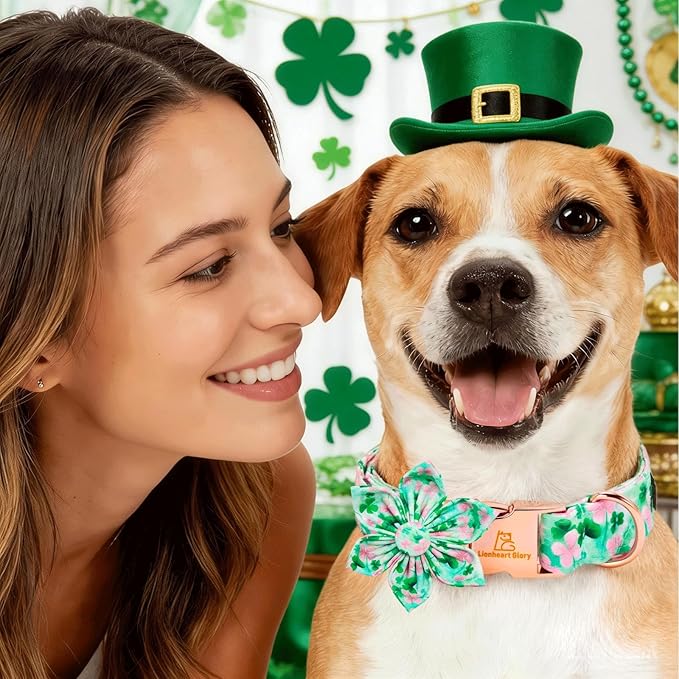 Lionheart glory St. Patrick's Day Dog Collar with Flower - Lucky Clover Shamrock Dog Collar for Large Dogs Green Pink Spring Trefoil Collars Soft Adjustable Collars