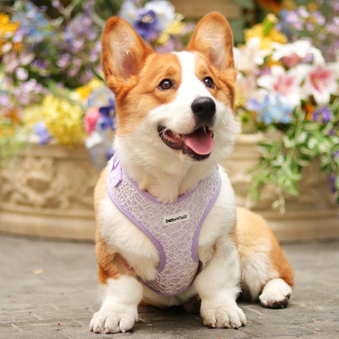 No Pull Dog Vest Harness for Small&Medium Dogs, Side Clip Adjustable Pet Vest, Soft Breathable, Fashion Dog Harnesses for Walking, Running, Shopping (Purple, XS)