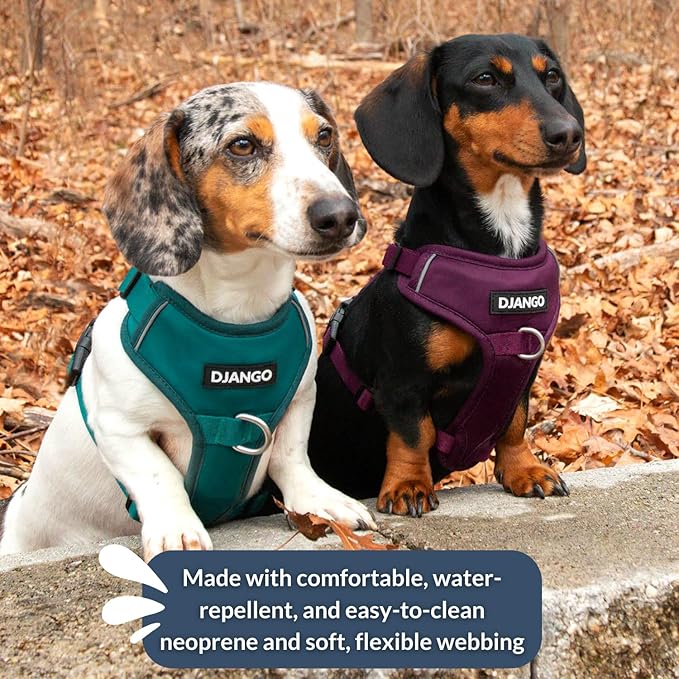 DJANGO Tahoe No Pull Dog Harness – Escape-Proof Dog Harness for Medium & Large Dogs with Front & Back Clips for Everyday Use – Adjustable, Padded, Reflective, Secure, Easy On/Off – Dark Teal, Large
