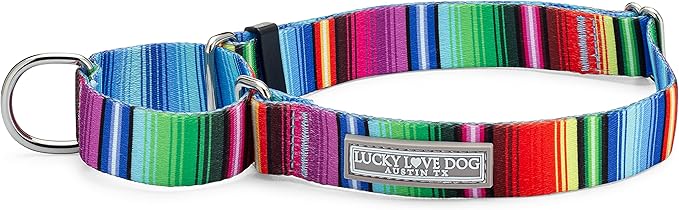 Lucky Love Dog Martingale Dog Collar - Adjustable, No-Slip, Durable, & Soft Webbing Collar for Male and Female Dogs Ideal for Training & Walking - Nacho, Large