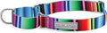 Lucky Love Dog Martingale Dog Collar - Adjustable, No-Slip, Durable, & Soft Webbing Collar for Male and Female Dogs Ideal for Training & Walking - Nacho, Small