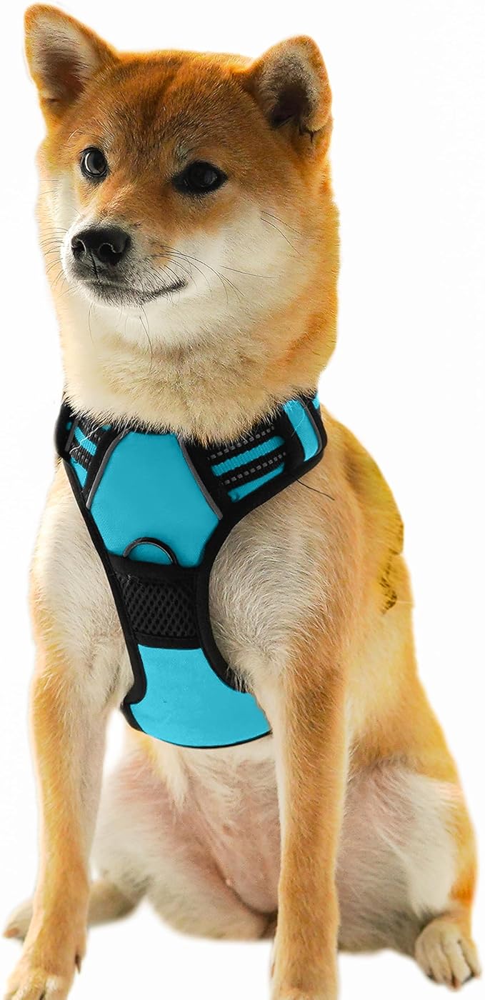 Ziggy Pet Dog Harness Adjustable Nylon Mesh Vest with Leash Clips (Blue, Extra Large)