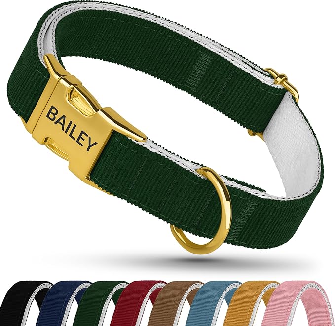Personalized Dog Collar with Gold Metal Buckle, Velvet Custom Dog Collars for Small, Medium & Large Dogs – Puppy Collars with Metal Buckle, 4 Sizes, 8 Colors (Green, XL, 19"-24")