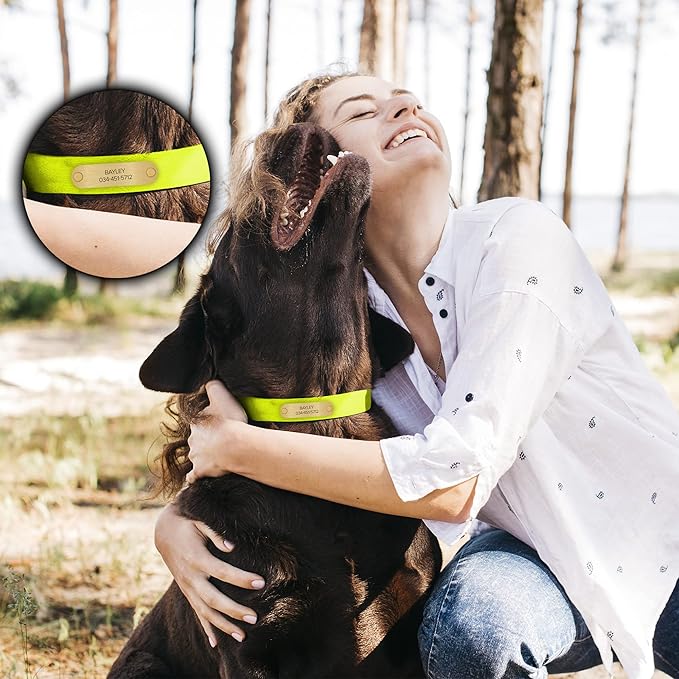 Regal Dog Products Medium Yellow with Custom Engraved Waterproof Dog Collar and Leash Set | Waterproof Dog Collar with Double Buckle & D Ring - 5'ft Leash | Matching Dog Collar and Leash for Dogs