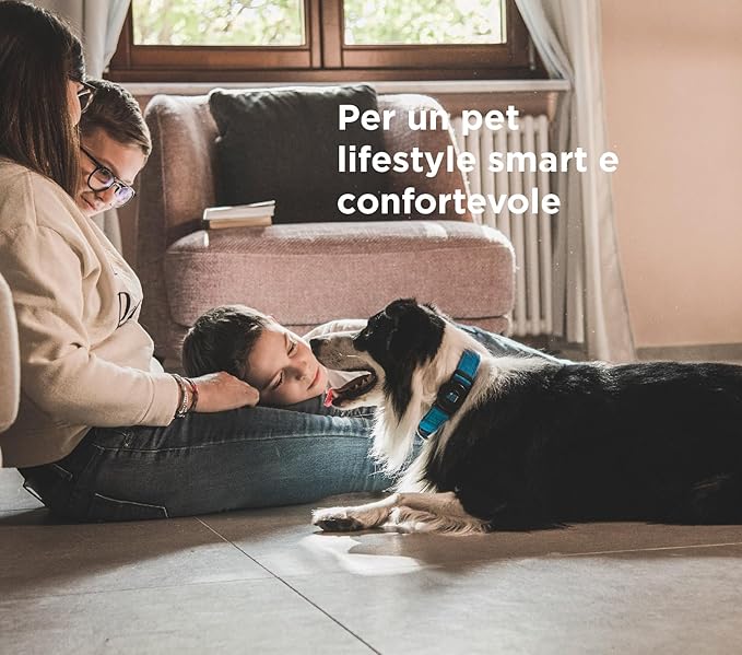 MyFamily Adjustable Polyester Dog Collar Made in Italy, Your Dog's Master Data Always with You, Comfortable and Durable, Handmade, Memopet Collection