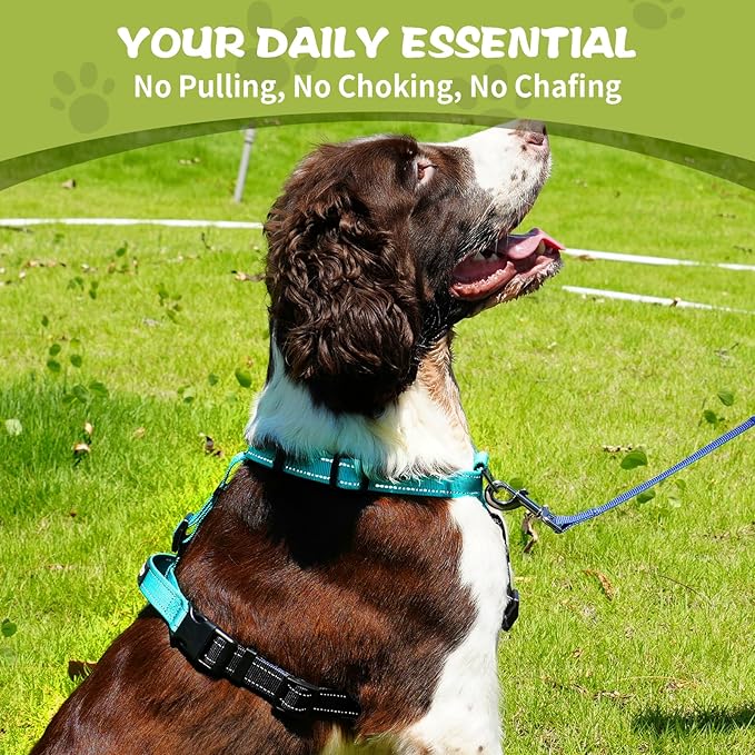 Dog Harness,Adjustable No Pull Dog Harness,Y-Shaped Design,Buckle-Neck Balance Harness with Reflective, Ideal for Dog Training Hiking, Easy Walk Harness,Durable High-Tensile Nylon Aqua Green-L