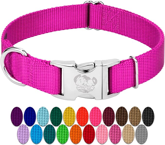 Country Brook Petz - Premium Nylon Dog Collar with Metal Buckle for Small Medium Large Breeds - 10+ Cool Colors (Medium, 3/4 Inch, Fuchsia)