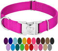 Country Brook Petz - Premium Nylon Dog Collar with Metal Buckle for Small Medium Large Breeds - 10+ Cool Colors (Extra Large, 1 Inch, Fuchsia)