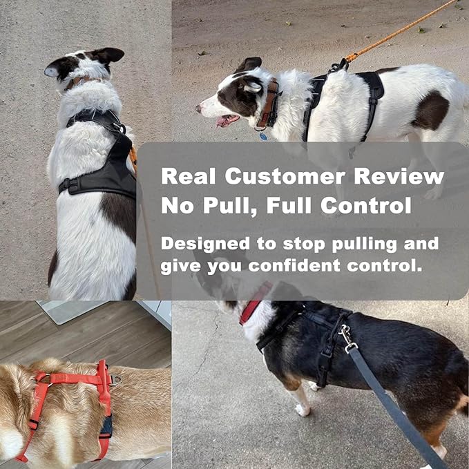 No Pull Dog Harness for Small Dogs, Adjustable, Reflective Breathable Padded Vest with 2 Metal Leash Clips and Handle for Control or Car Seatbelt Use, Orange, S