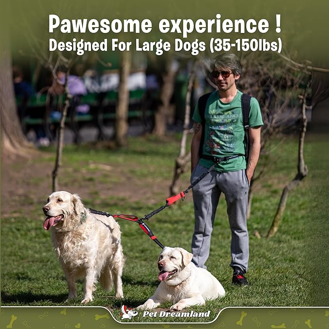 Pet Dreamland Exquisite Hands Free Double Leash for Two Dogs No Tangle. Premium Quality & Versatile Running Your Two Large Dogs. You Will Absolutely Love This Amazing Dual Dog Leash (Black & Red)