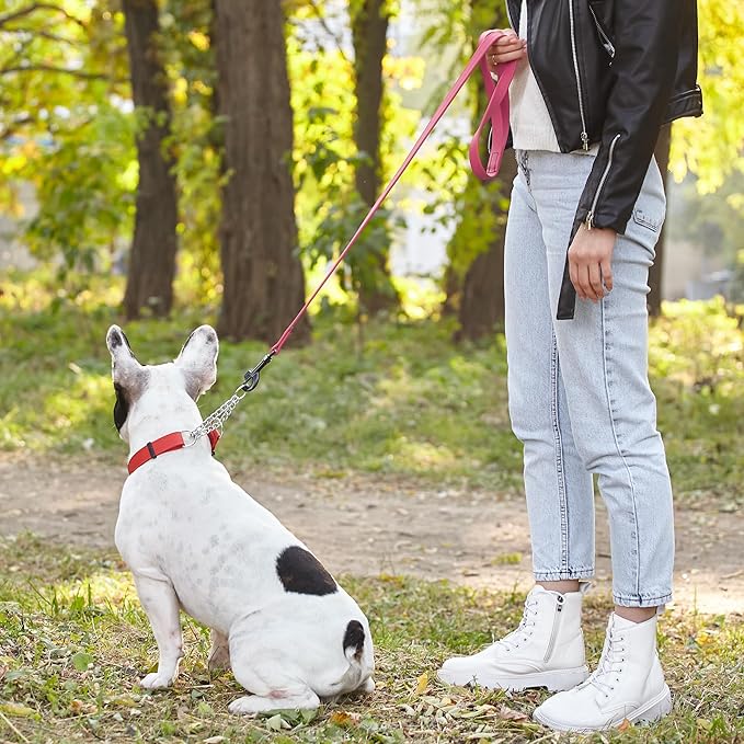 Dogline Biothane Waterproof Dog Leash 2/4/6 Ft Strong Coated Nylon Webbing with Black Hardware Odor-Proof Easy to Clean High Performance for Small or Large Dogs Made in USA, Passionfruit Pink