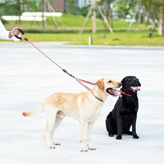 iYoShop Dual Dog Leash - 360° Swivel, No Tangle Walking Leash with Shock Absorbing Bungee for Two Dogs (Large, 25-150 lbs, Baby Pink)