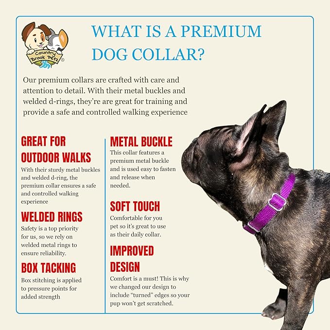 Country Brook Petz - Premium Nylon Dog Collar with Metal Buckle for Small Medium Large Breeds - 10+ Cool Colors (Small, 3/4 Inch, Purple)