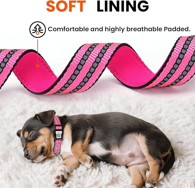 Reflective Dog Collar with QR Code Tag, Personalized Dog Collar, Safety Night Visibility, Anti-Loss Function (Rose Red, Large)