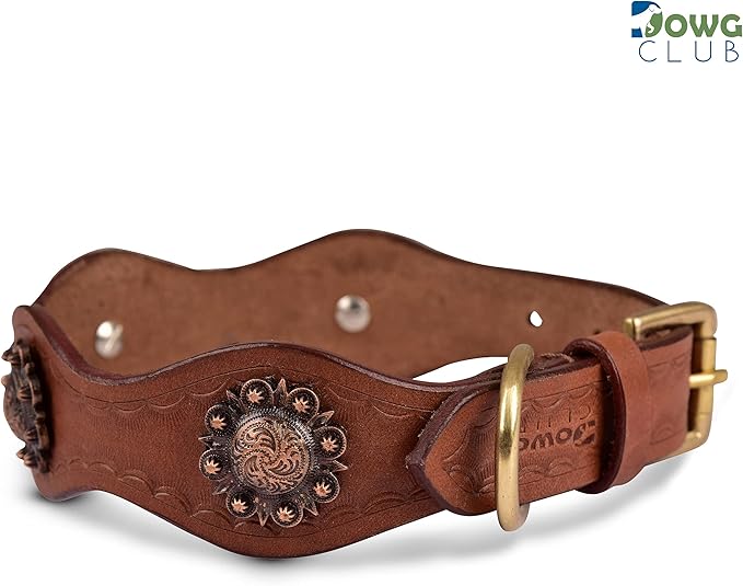 Leather Collar with Scalloped Edges for Medium Dogs | Genuine, Hand Tooled, Hand Carved, Full Grain, Heavy Duty, Comfortable (Medium (Fit Neck Size 14.5"-18.5"), Brown-Scalloped Edges)