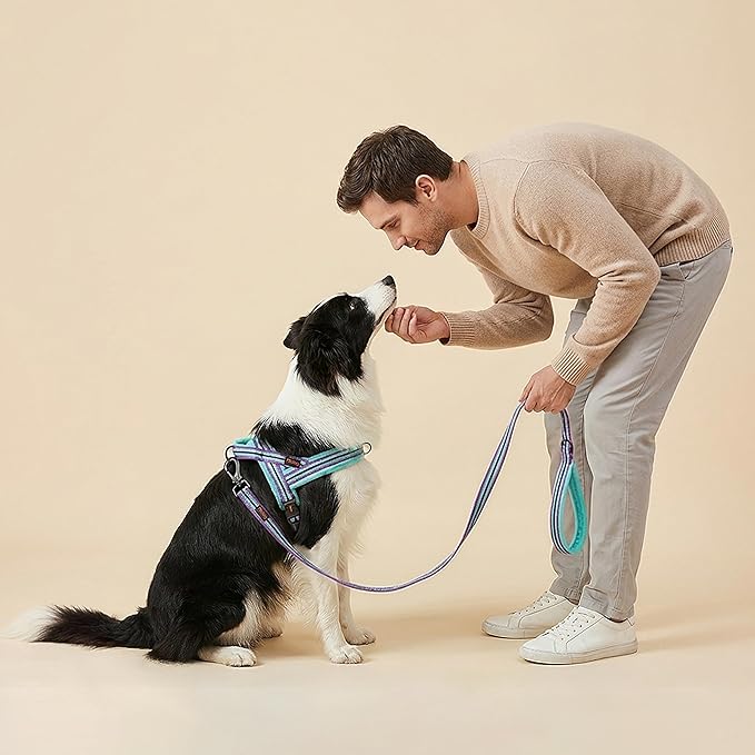 Didog Soft Flannel Padded Dog Vest Harness, No Pull/Quick Fit Reflective Dog Strap Harness, Easy for Training Walking (L:Chest 26-32", Mixed-Blue)