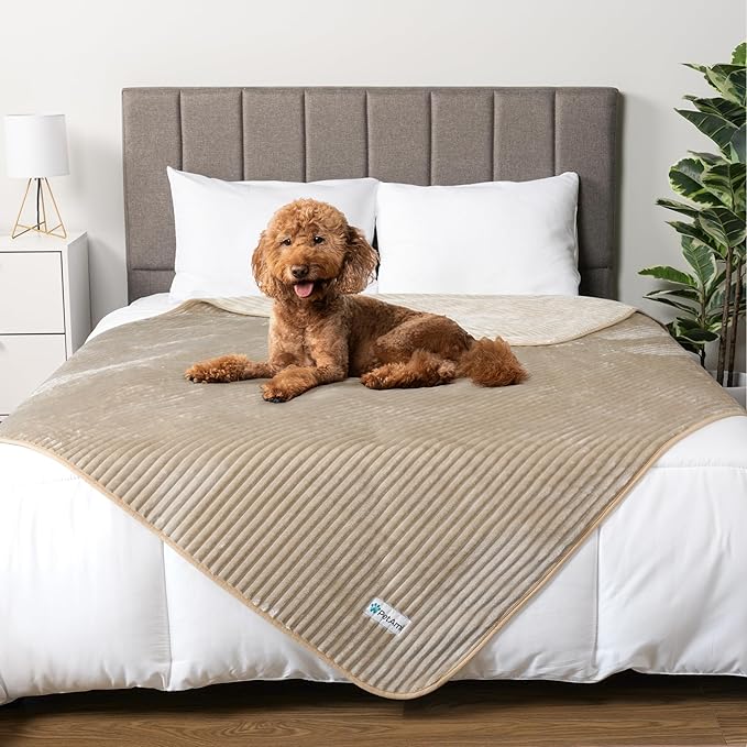 PetAmi Waterproof Dog Blanket, Leakproof Pet Blanket for Small Medium Large Dogs, Reversible Furniture Bed Sofa Couch Cover Protector, Plush Striped Pet Throw for Indoor Cat, 60x80 in, Taupe Beige