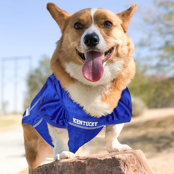 Pets First NCAA College Kentucky Wildcats Mesh Jersey for Dogs & Cats, XX-Large. Licensed Dog Jersey with Your Favorite Football/Basketball College Team