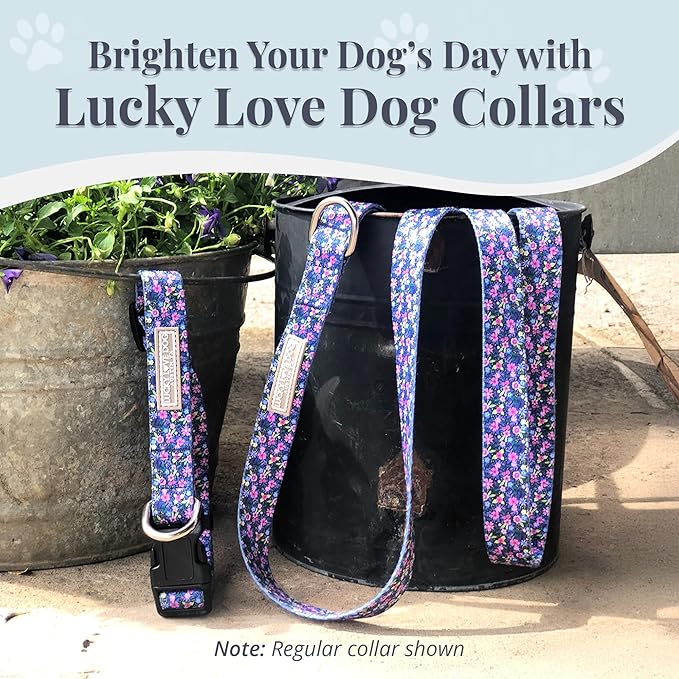 Lucky Love Dog Wide Martingale Dog Collar - No-Slip, Durable, & Soft Webbing 1.5 inch Martingale Collar for Dogs Male and Female Ideal for Training & Walking - Primrose, Medium
