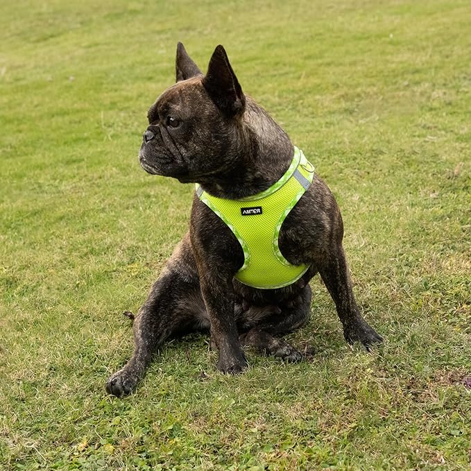 AMTOR Small Dog Harness with Leash Set, No Escape Easy Walk Puppy Harnesses for Training Walking, Step-in Reflective Soft Dogs Vest for XS S Medium Extra-Small Large Sized Dog(L Size,Green/White)