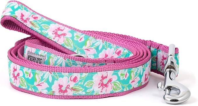 THE WORTHY DOG 5 FT Nylon Dog Leash for Medium to Large Dogs, Metal Quick Clip, Watercolor Floral Pattern, Teal, Large