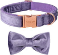 ARING PET Bowtie Dog Collar-Velvet Dog Collars with Removable Bowtie, Cute &Comfortable Purple Dog Collar,Large.