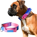 Tactical Dog Collar with Handle - Premium Quality Collar, Robust and Durable Design for Large, Strong Breeds - Pitbulls, Labradors, GSD - Snow Cone - L