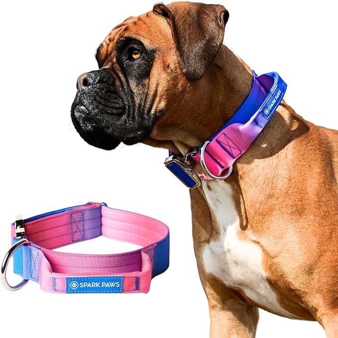 Spark Paws Tactical Dog Collar with Handle - Premium Quality Collar, Robust and Durable Design for Large, Strong Breeds - Pitbulls, Labradors, GSD - Snow Cone - L -1.5"