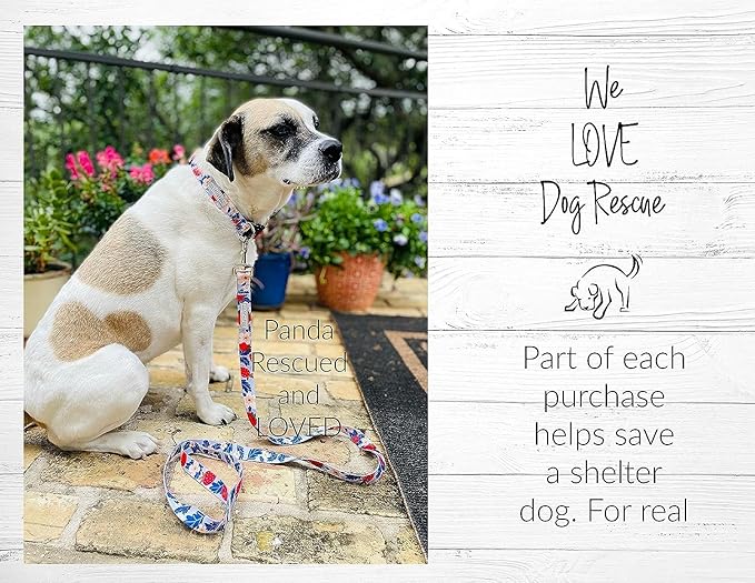 Lucky Love Dog Martingale Collar and Leash Set, Premium Fun Girl No Slip Collars, Strawberry Martingale Dog Collar and Leash Set, Great for Whippets, Greyhounds, and More (Sweet Berry, Large - Combo)