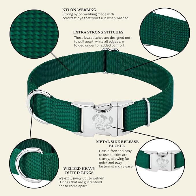 Country Brook Petz - Premium Nylon Dog Collar with Metal Buckle for Small Medium Large Breeds - 10+ Cool Colors (Large, 1 Inch, Green)
