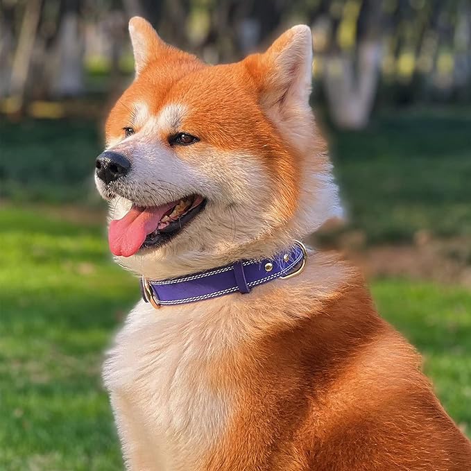 Genuine Leather Dog Collar, Heavy Duty Dog Collar, Wide Dog Collar for Small, Medium, Large and Extra Large Dogs (L: 1.2" Wide for 16.2"-22" Neck, Dual Stitch - Purple)