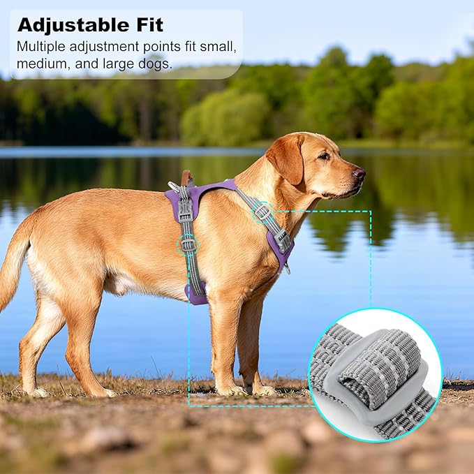 No Pull Dog Harness – Adjustable Reflective Nylon Vest for Small Medium Large Dogs, Escape Proof Training Harness with Leather Control Handle, Lightweight Aluminum Hardware (Purple, M)