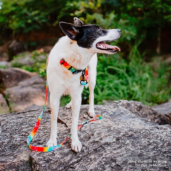 Wilderdog Waterproof Dog Collar - Repels Water & Dirt - Large 17"-24" - Tie Dye