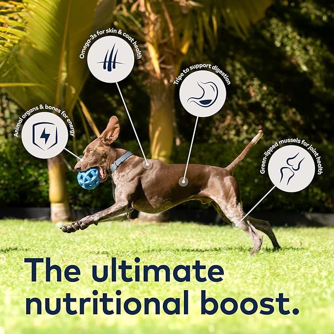ZIWI Peak Air-Dried Dog Food – Lamb - All Natural, High Protein, Grain Free, Limited Ingredient w/Superfoods (3.5oz) (Pack of 2)
