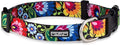 Lucky Love Dog - Adjustable Dog Collar with Easy Click Buckle for Large Ones, Durable, & Comfortable for Male & Female Dogs, Pet Collar for Puppies & Adult Dogs - Blackbird, Large